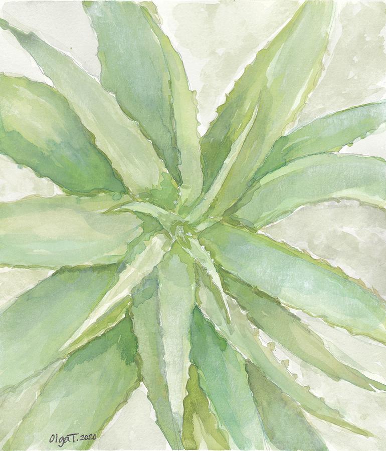 Aloe Vera Painting by Olga Tremaine - Fine Art America