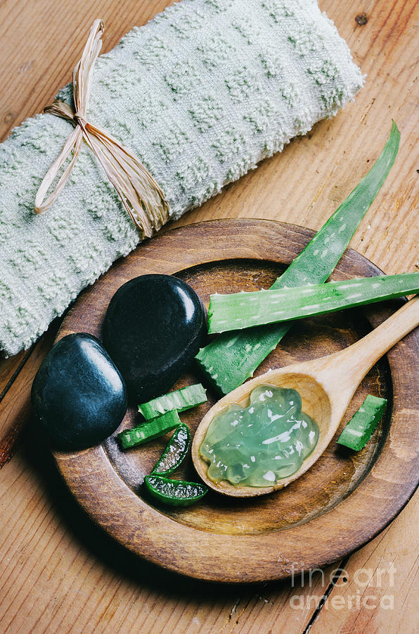 Aloe vera spa and wellness cosmetic product for skin Photograph by Jelena Jovanovic
