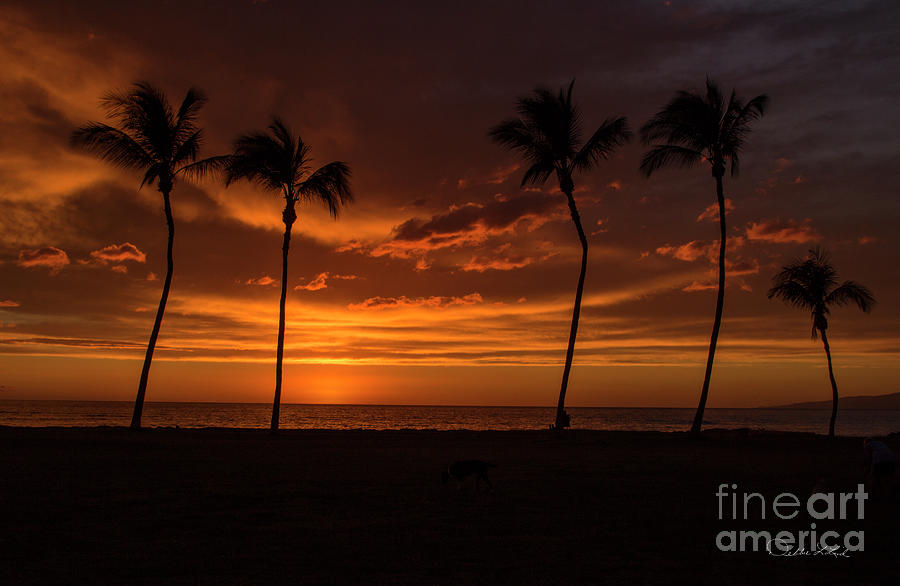 Aloha  Hawaiian Greeting Maui Sunset Photograph