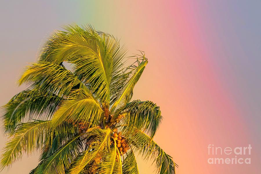 Aloha Photograph by Jennifer Jenson - Pixels