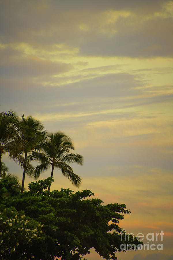 Aloha Maui Morning Photograph
