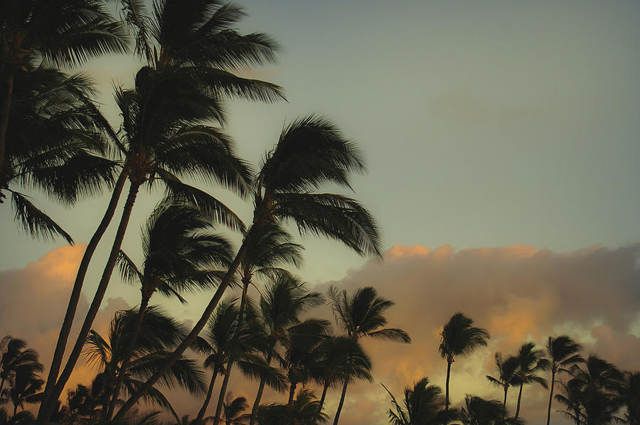 Aloha Morning Photograph