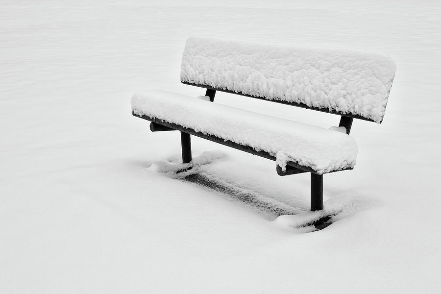 Alone and Cold bw Photograph by Dan Carmichael