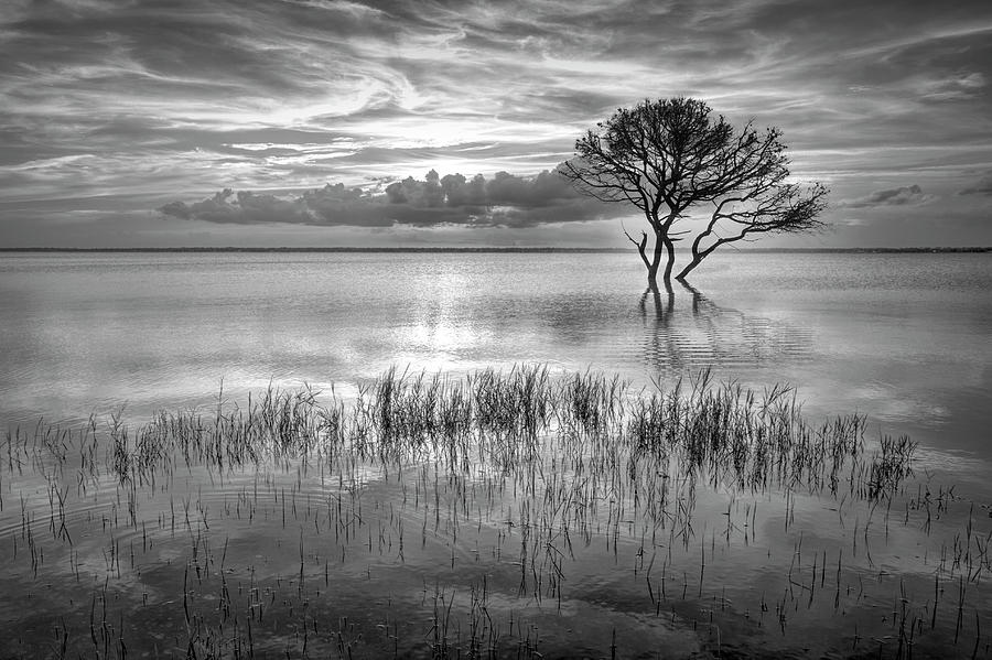 Alone at Sunset in Black and White Photograph by Debra and Dave Vanderlaan