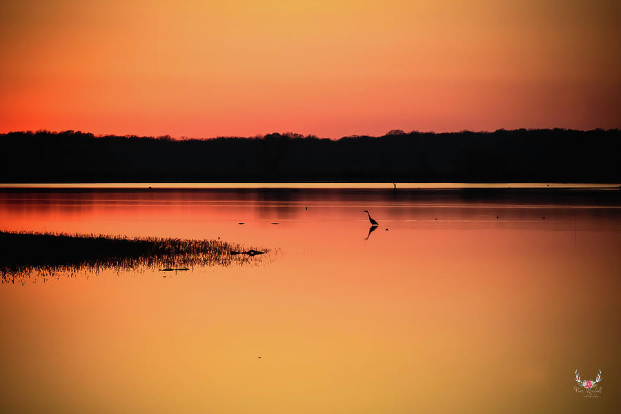 Alone at Sunset Photograph by Pam Rendall