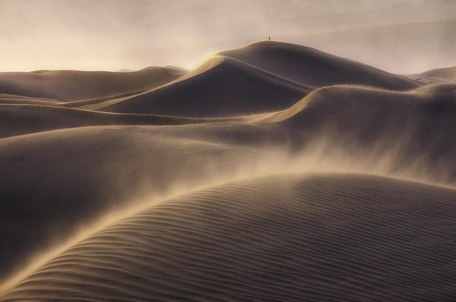 Alone in a windy desert, Death Valley Photograph by Inigo Cia