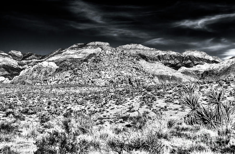 Alone in the Desert at Red Rock Canyon Photograph by John Rizzuto