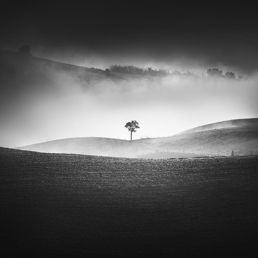 Alone in the Fog II Photograph by Stefano Orazzini