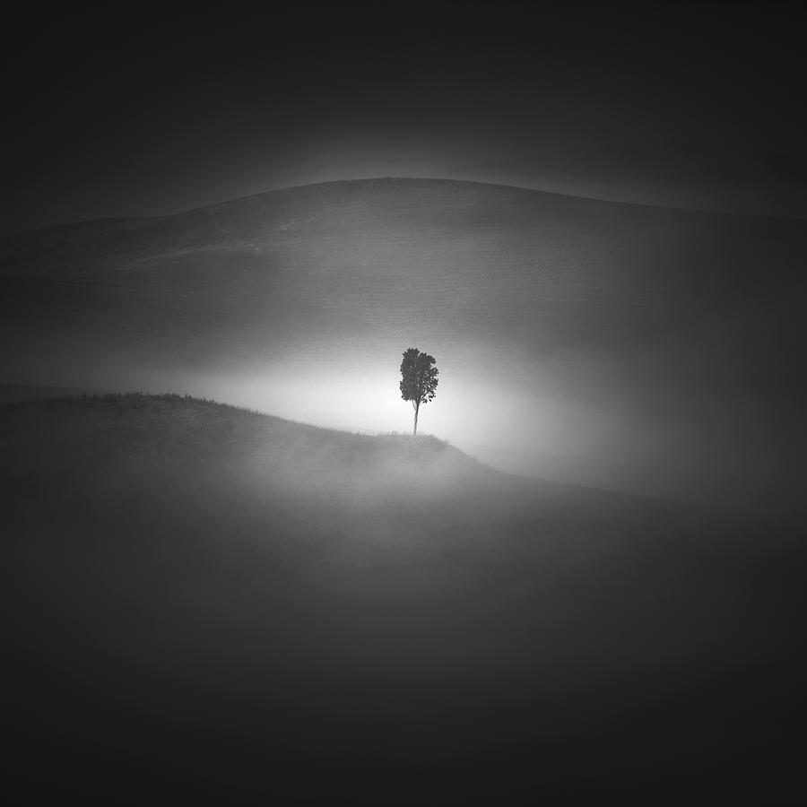 Alone in the Fog Photograph by Stefano Orazzini