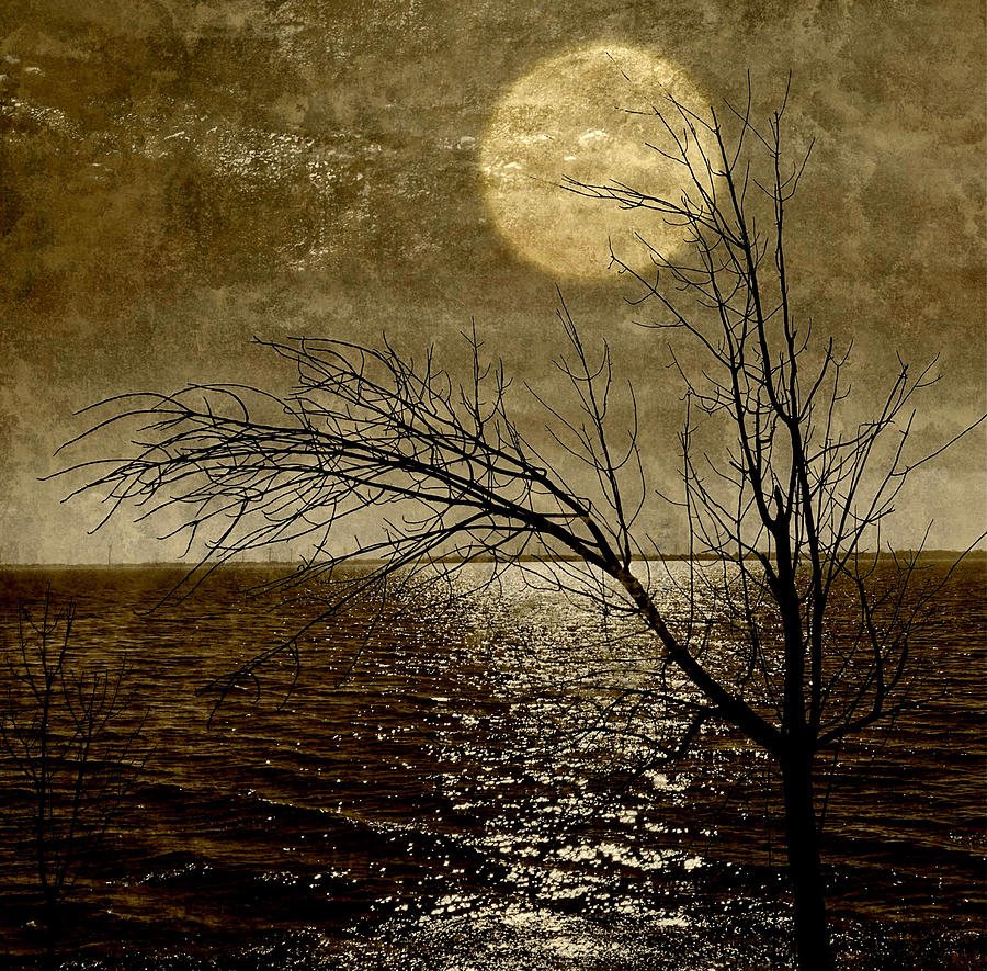Alone in the Moonlight Digital Art by JP McKim