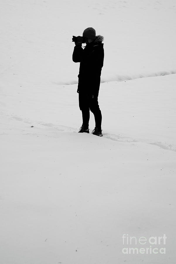 Alone In The Snow Photograph