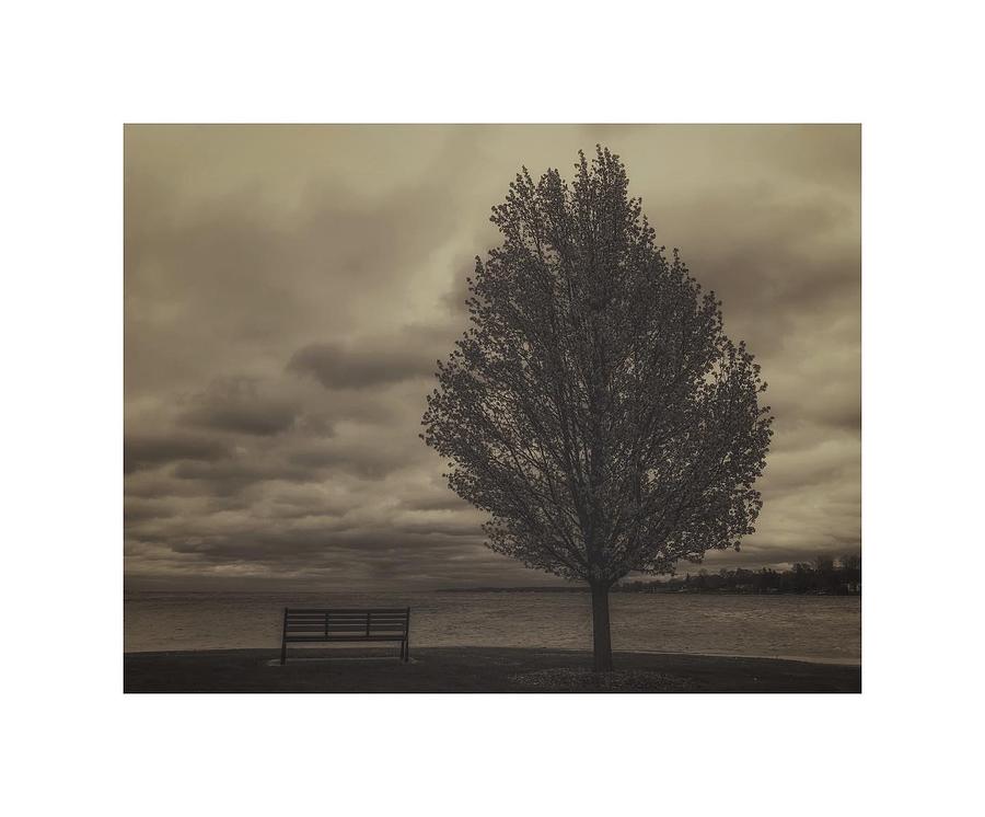 Alone Photograph By Josh Patch - Fine Art America