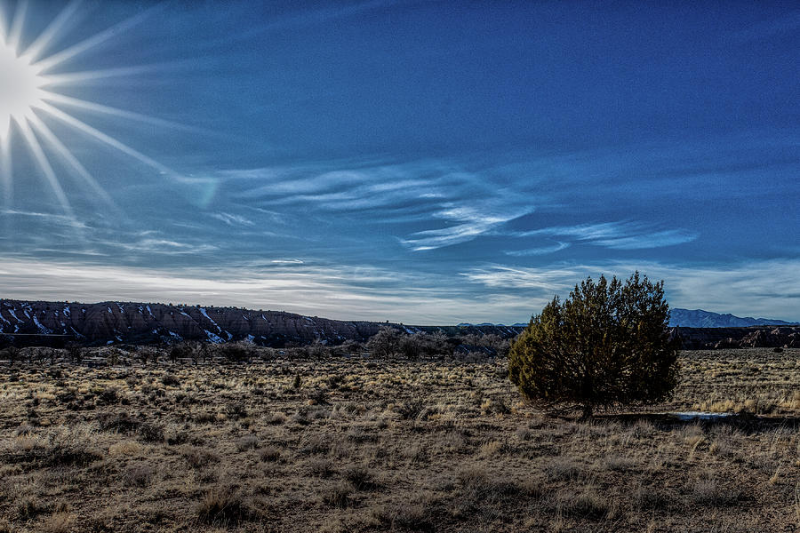 Snow Canyon State Park Photograph - Alone on the Pra by Paul Malen Snow Canyon State Park Photograph - Alone on the Pra by Paul Malen