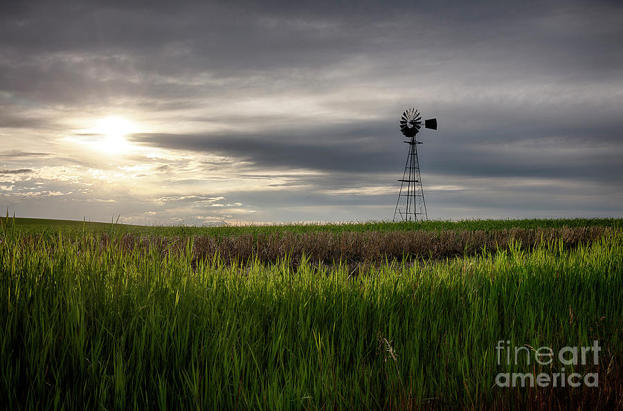 Alone on the Prairie Photograph by Idaho Scenic Images Linda Lantzy