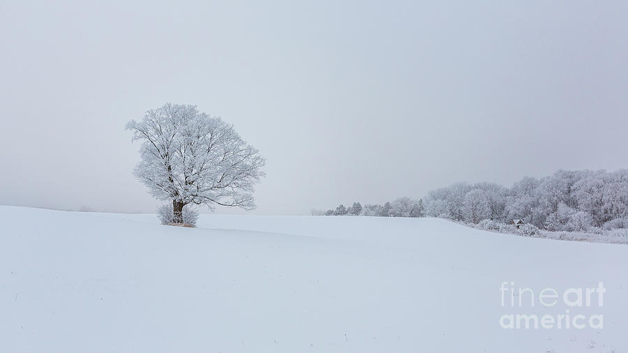 Winter Photograph - Alone Together by Andrew Slater