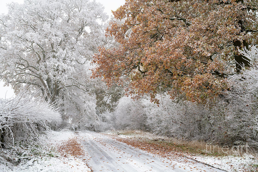 Along a Cotswold Winter Road Photograph by Tim Gainey