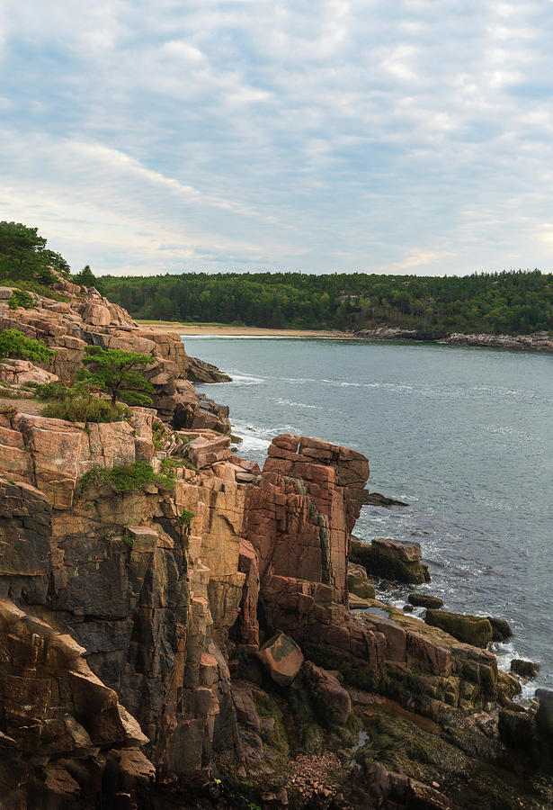 Acadia National Park Photograph - Along Acadias Coast by Angie Purcell