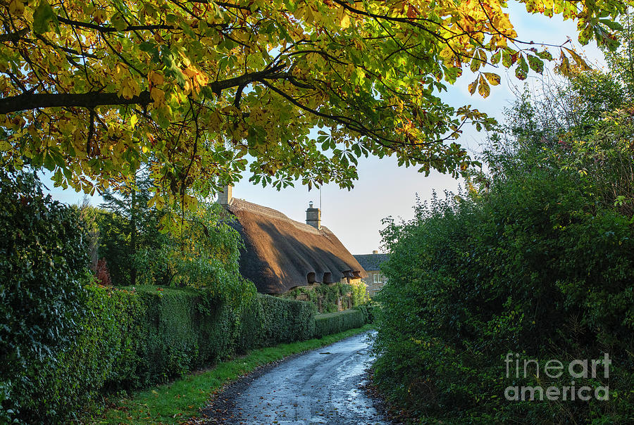 Along an Autumn Lane in Great Tew Photograph by Tim Gainey