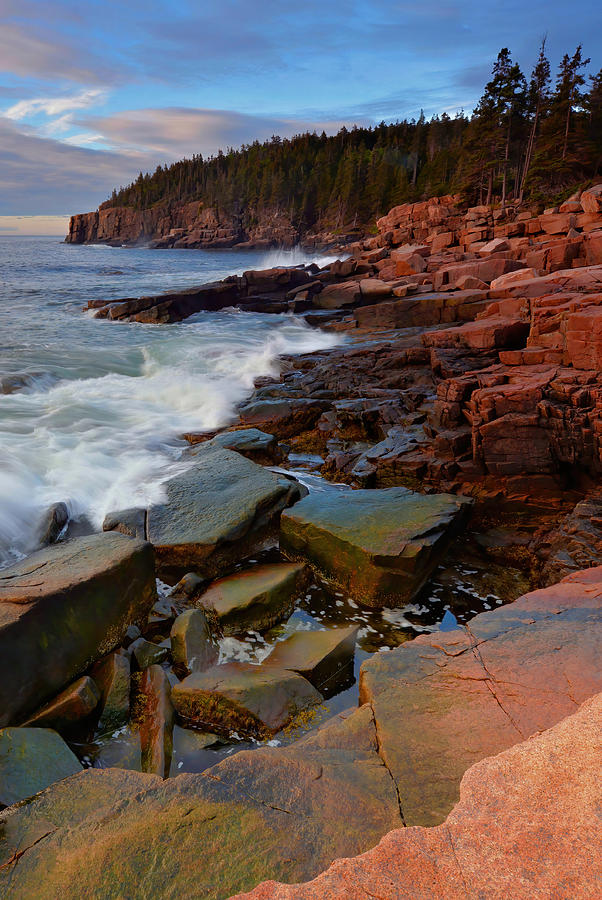 Nature Photograph - Along The Acadia Coast by Stephen Vecchiotti