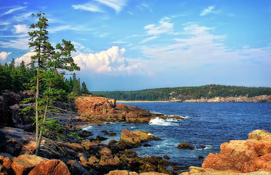 Along the Coast in Acadia National Park Photograph by Carolyn Derstine