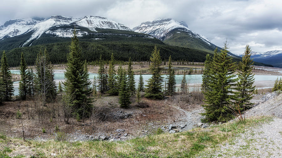 Along the Icefields Parkway Photograph by Belinda Greb