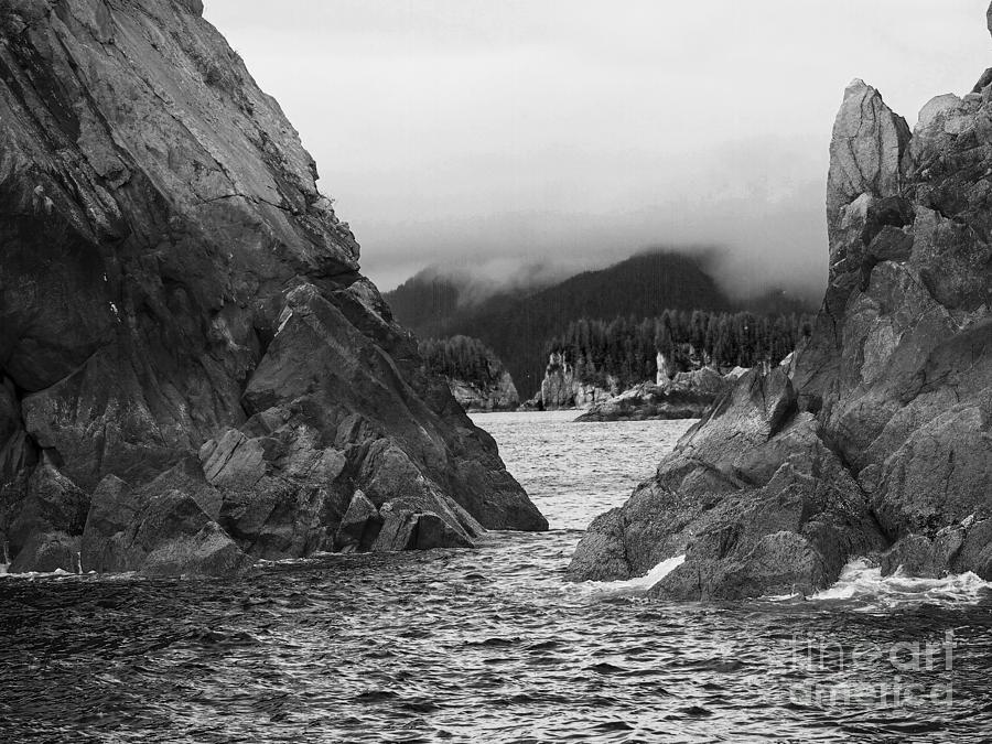 Along the Kenai Fjord in Black and White Photograph by L Bosco