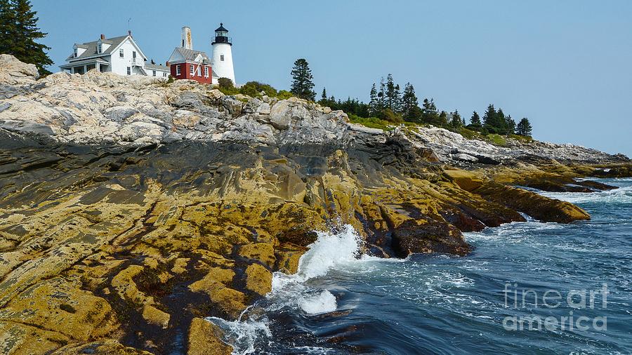 Along the Maine Coast Photograph by Steve Brown