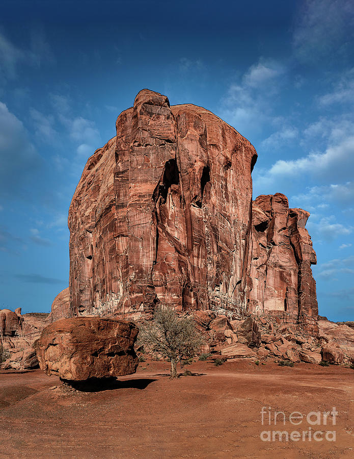 Along the Monument Valley Drive Photograph by Nick Zelinsky Jr