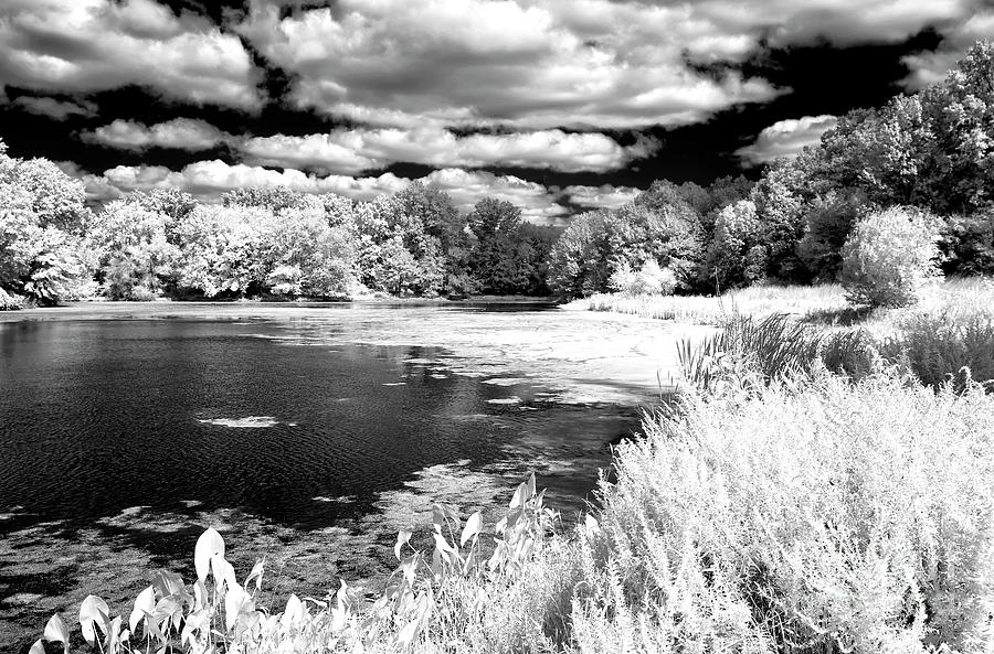 Along the Pond Infrared at Colonial Park in New Jersey Photograph by John Rizzuto