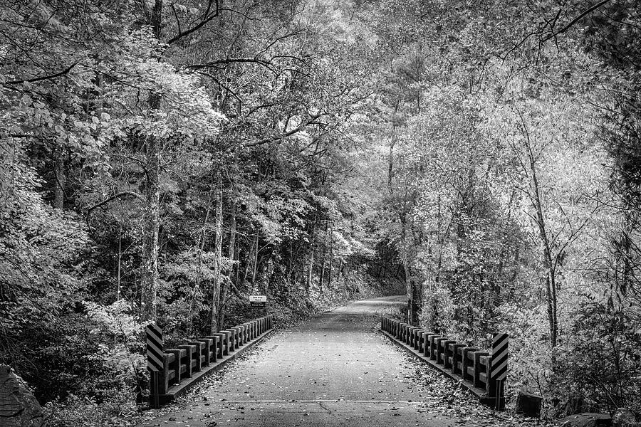Along the River Road Black and White Photograph by Debra and Dave Vanderlaan