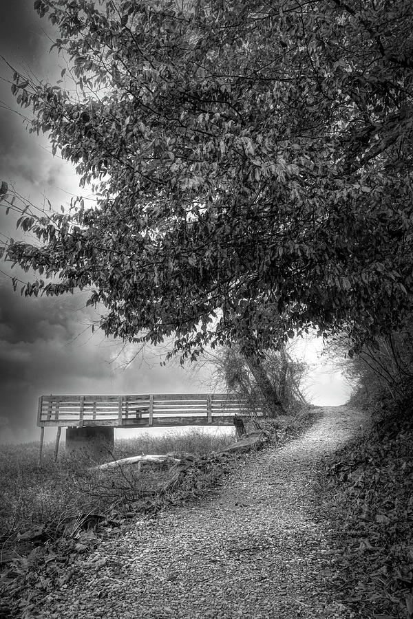 Along the River Walk Trail in Black and White Photograph by Debra and Dave Vanderlaan
