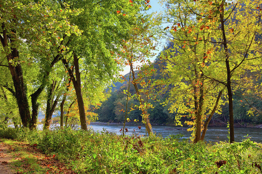 Along the Shenandoah River Photograph by John M Bailey