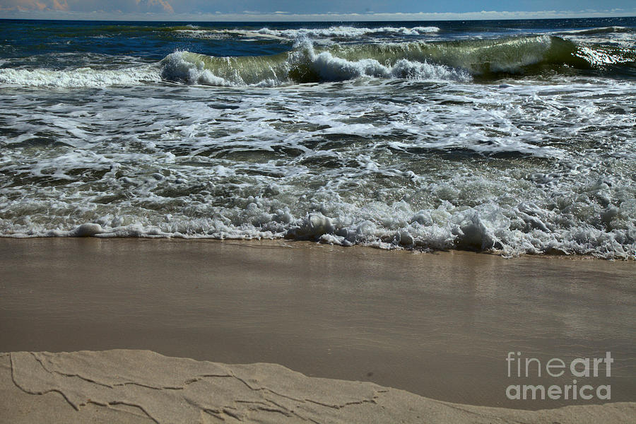 Nature Photograph - Along The Shore At Panama City Beach by Adam Jewell