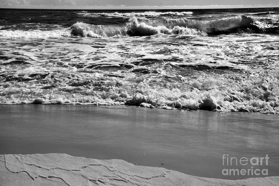 Along The Shore At Panama City Beach Black And White Photograph by Adam Jewell