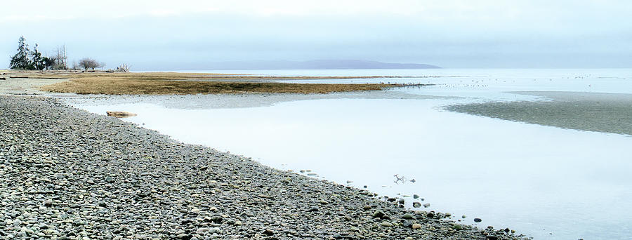 Along The Shore In Parksville Photograph