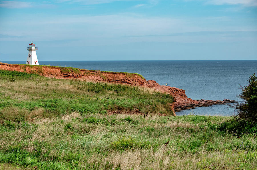 Along the Windy Shore, Prince Edward Islands Cape Tryon Photograph by Marcy Wielfaert