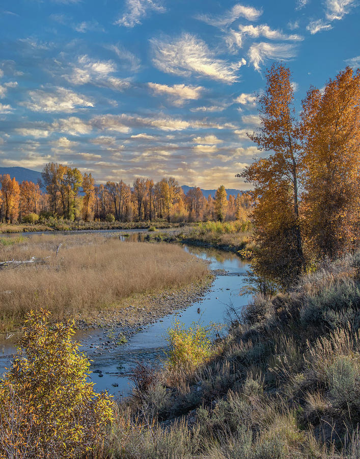 Along the Gros Ventre River in Autumn, Vertical Photograph by Marcy Wielfaert