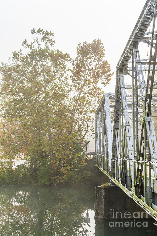 Alongside Finley River Bridge Photograph by Jennifer White