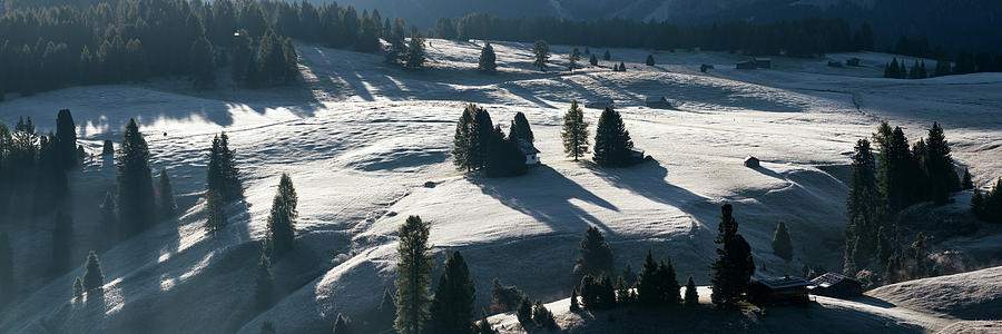Alp di Suisse Seiser Alm Aline Meadow Sassopiatto Italian Dolomi Photograph by Sonny Ryse