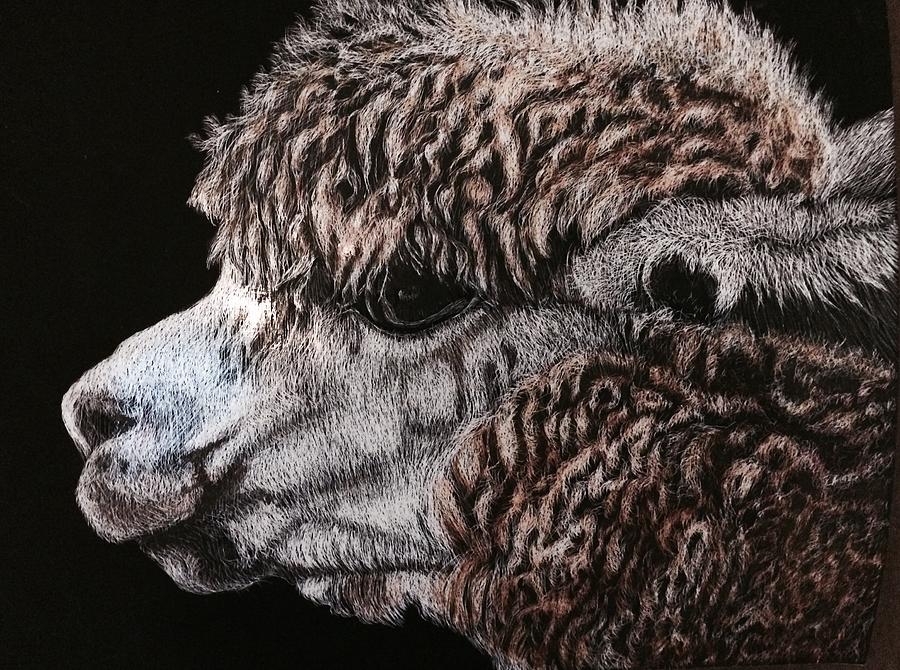 Alpaca Painting by Debbie Hornibrook