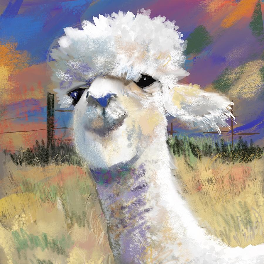 Alpaca Digital Art by Elaine Pawski
