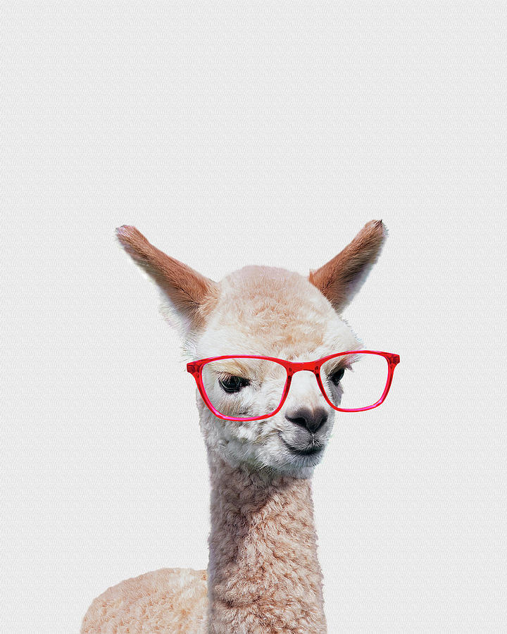 Alpaca In Red Glasses Painting by Mick Flodin