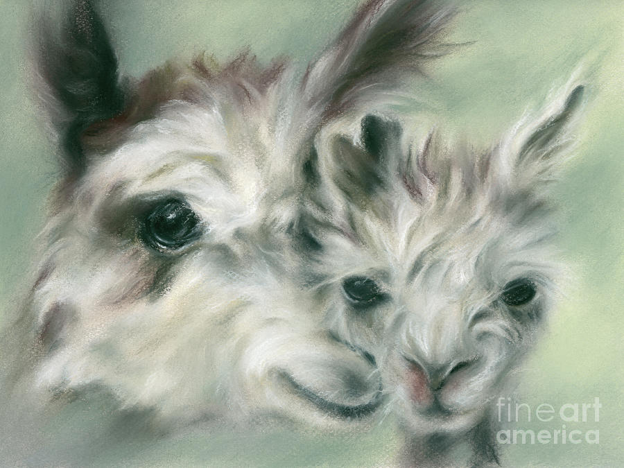 Alpaca Youngster and Mother Painting by MM Anderson