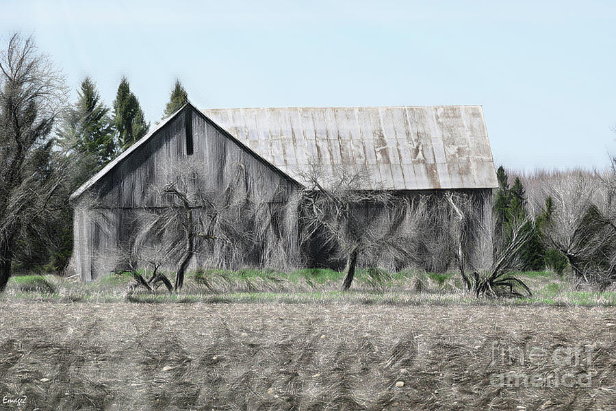 Alpena County Barn H Sketch 1 Digital Art