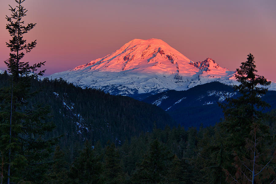 Alpenglow on Rainier Photograph by Lynn Hopwood - Fine Art America