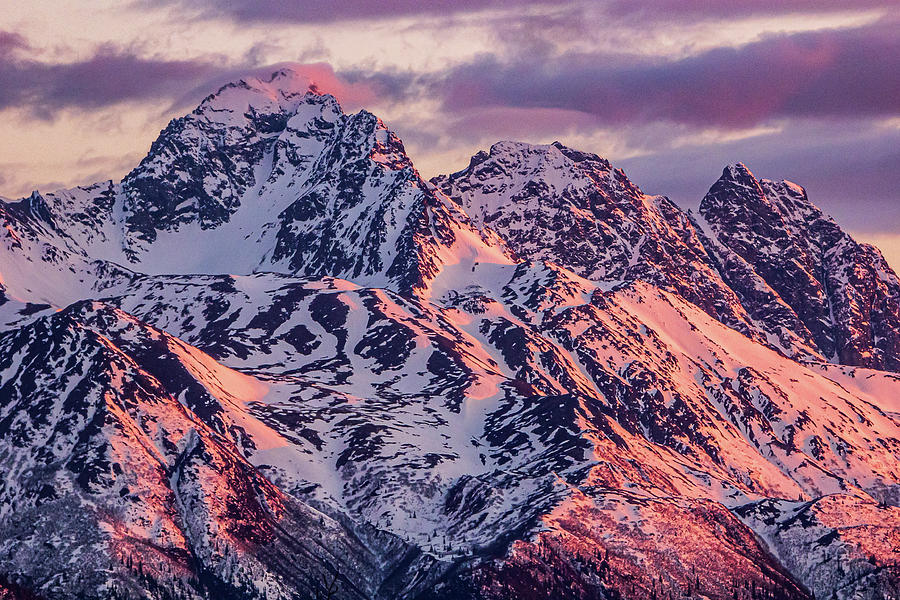 Alpenglow on the Chugach Photograph by Dianne Milliard