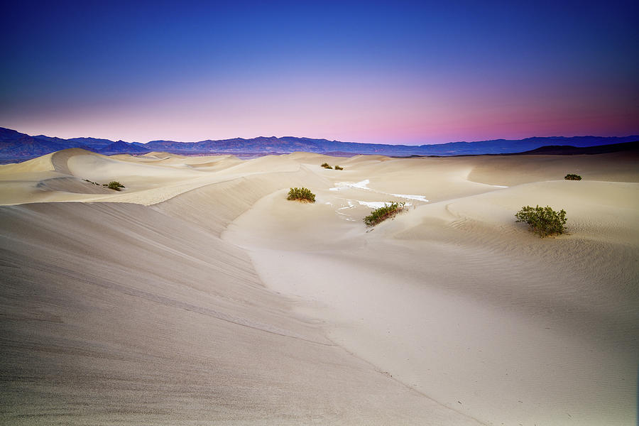 Alpenglow on the Mesquite Dunes Photograph by Spencer McDonald