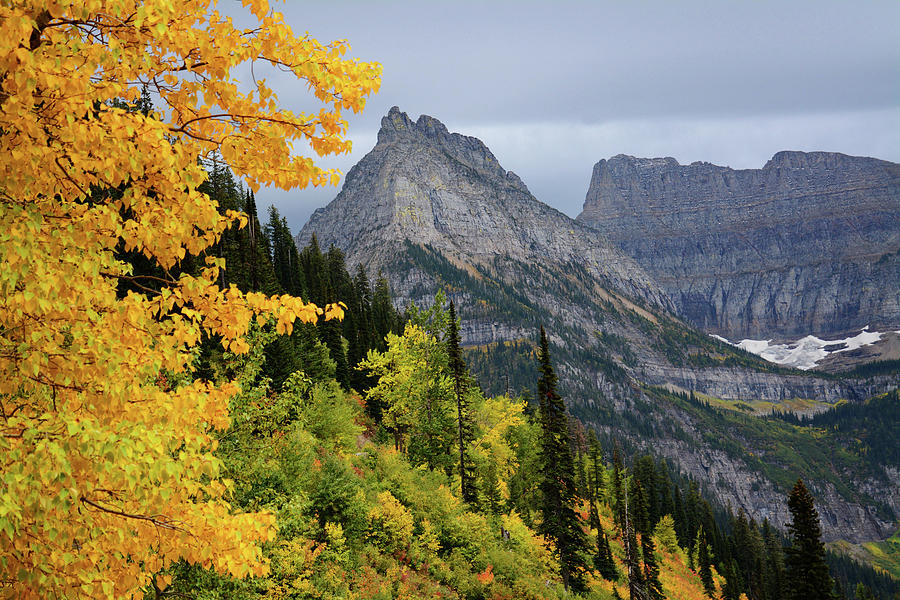 Mountain Photograph - Alpine Autumn by Whispering Peaks Photography