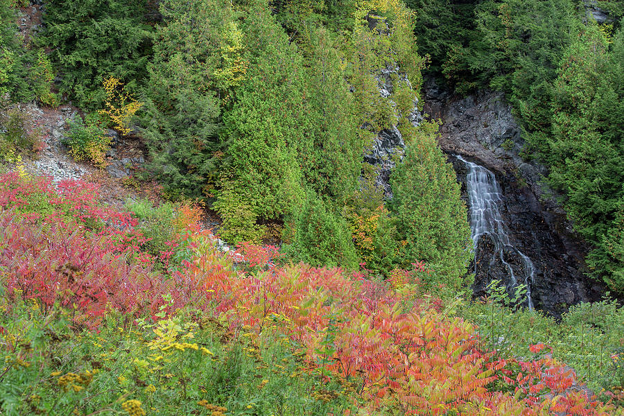 Alpine Cascade Autumn Colors Photograph by White Mountain Images