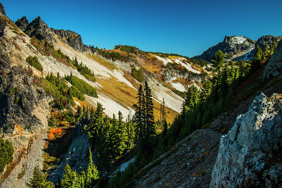 Alpine Fall Colors - II #1 Photograph by Doug Scrima